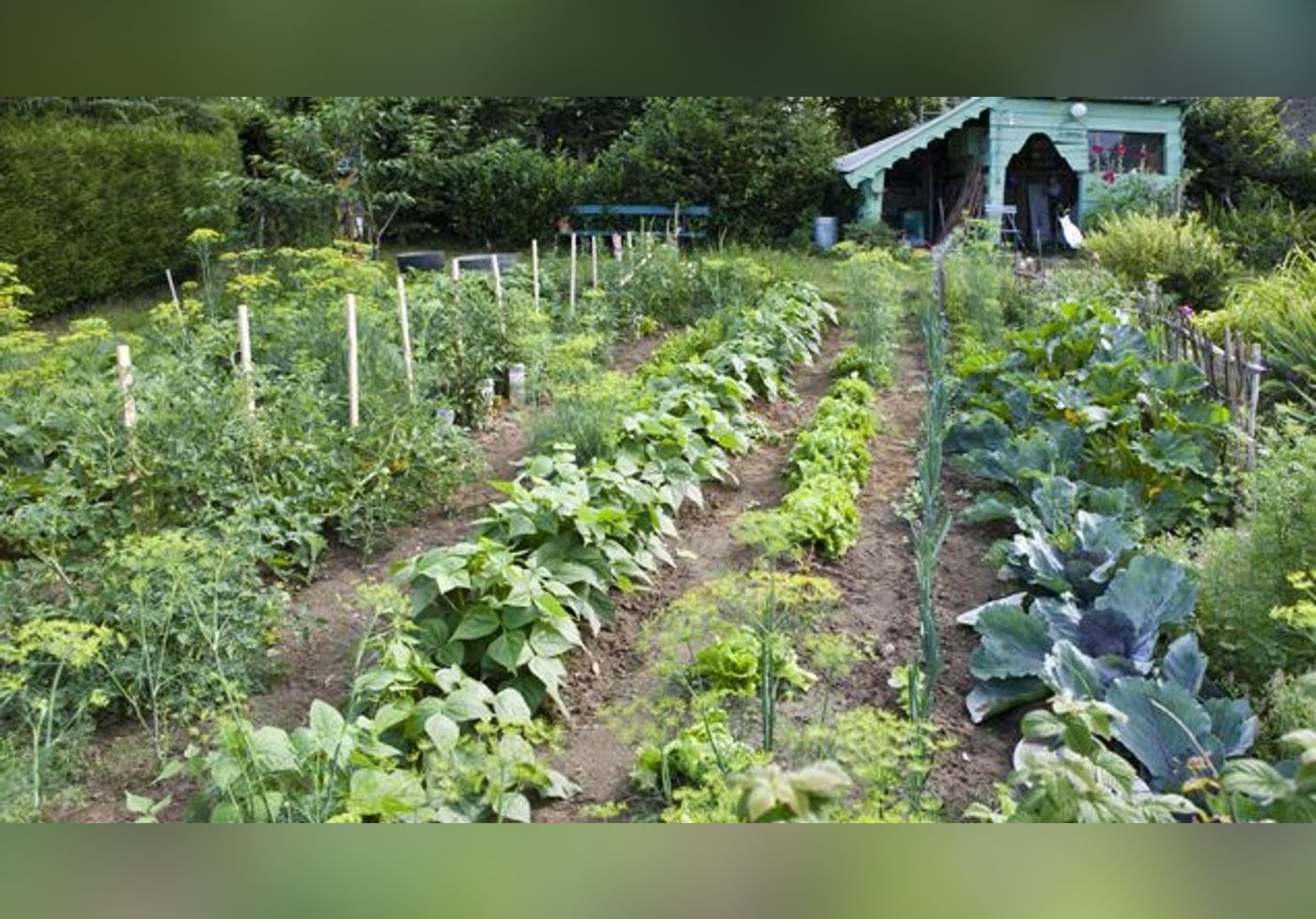 La permaculture une solution écologique aux techniques agricoles