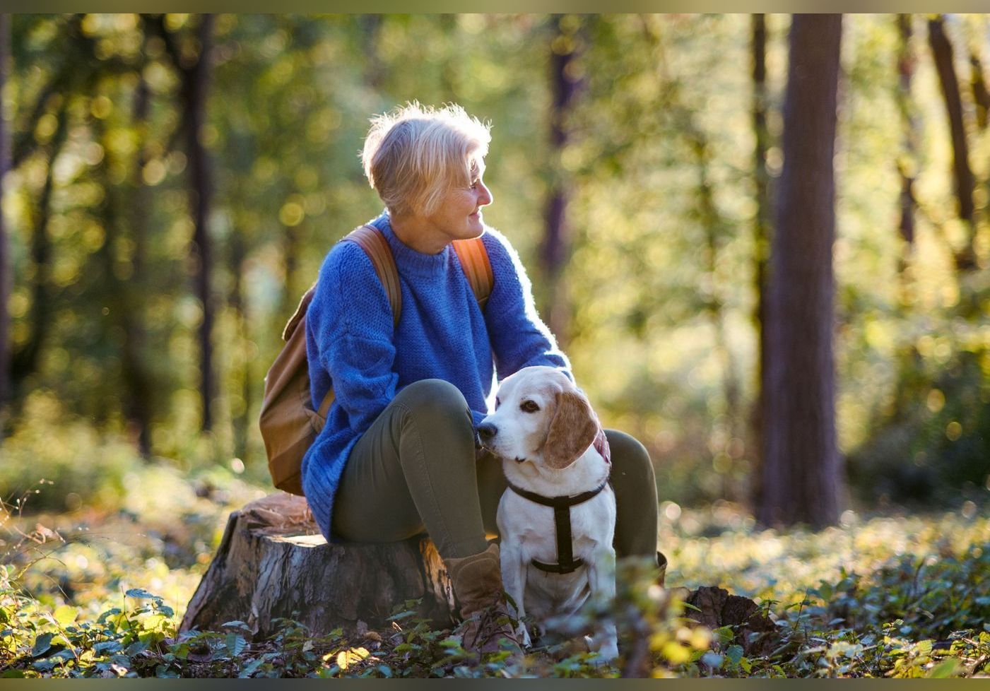 Comment Se Prot Ger Efficacement Contre Les Tiques