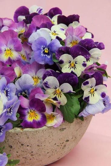 15 jardinières de printemps repérées sur Pinterest
