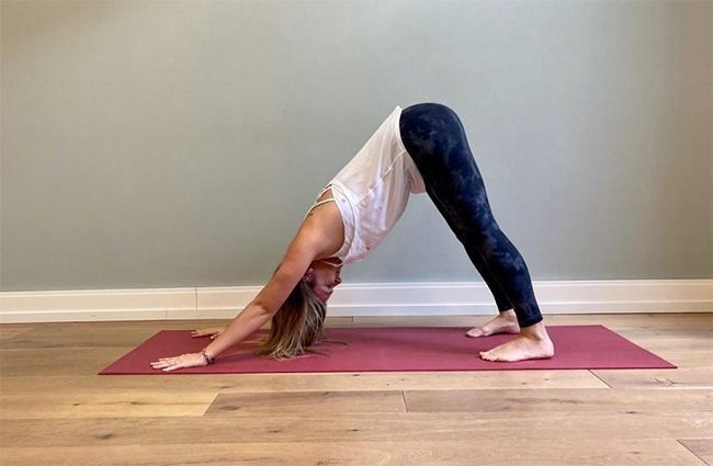 Le chien tête en bas en yoga.