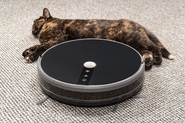 A robot vacuum cleaner and a cat.