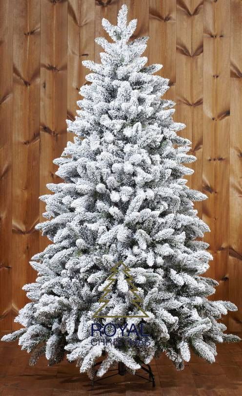 Arbre de Noël artificiel Triumph Tree Forest Frosted - 119x119x155 cm - Vert
