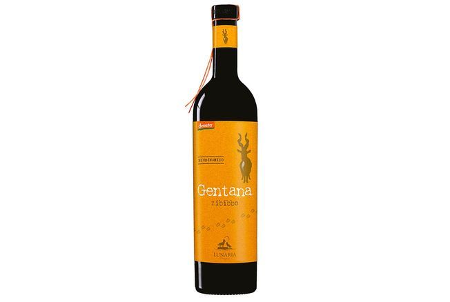 Foire aux vins d'automne 2024 : 10 bouteilles parfaites à moins de 10 € pour accompagner vos plats de saison - Version Femina - Guide des Cépages - Découverte et Informations sur les Vins du Monde