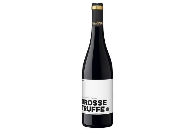 Foire aux vins d'automne 2024 : 10 bouteilles parfaites à moins de 10 € pour accompagner vos plats de saison - Version Femina - Guide des Cépages - Découverte et Informations sur les Vins du Monde