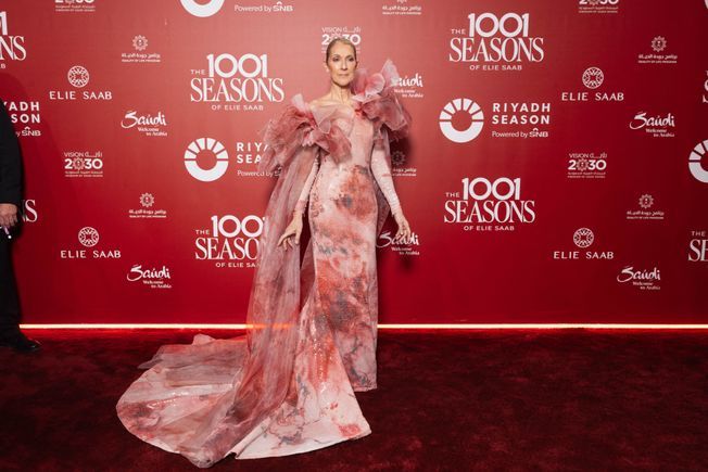 Robe transparente celine dion hotsell