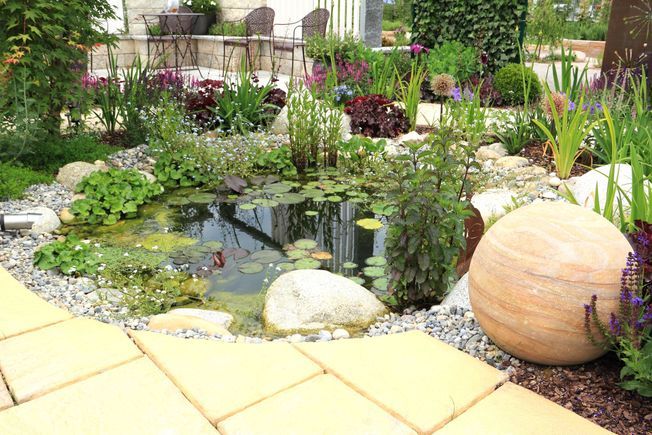 Jardin aquatique d'extérieur : voici comment créer votre propre bassin