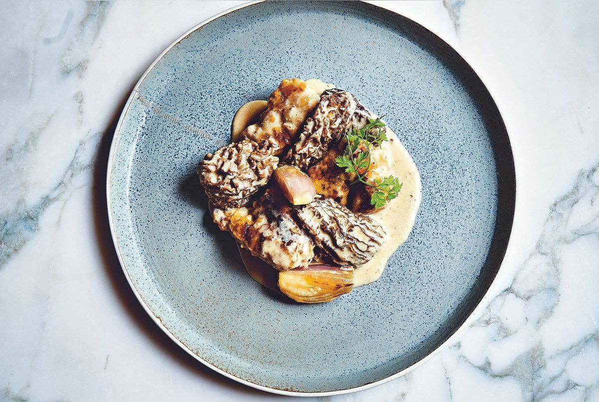 Fricassée De Ris De Veau Aux Morilles Fricassée de ris de veau aux morilles de Stéphanie Le Quellec