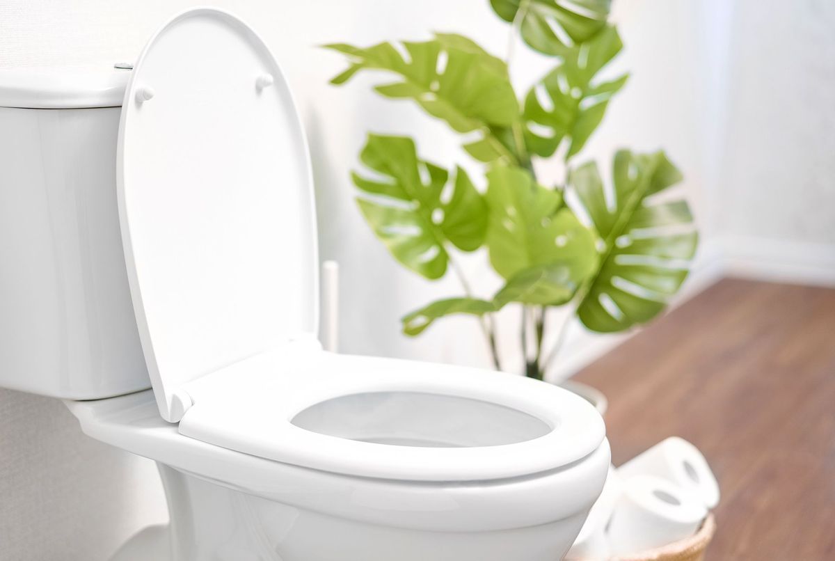 3 recettes nettoyant WC : nettoyer ses toilettes de manière naturelle