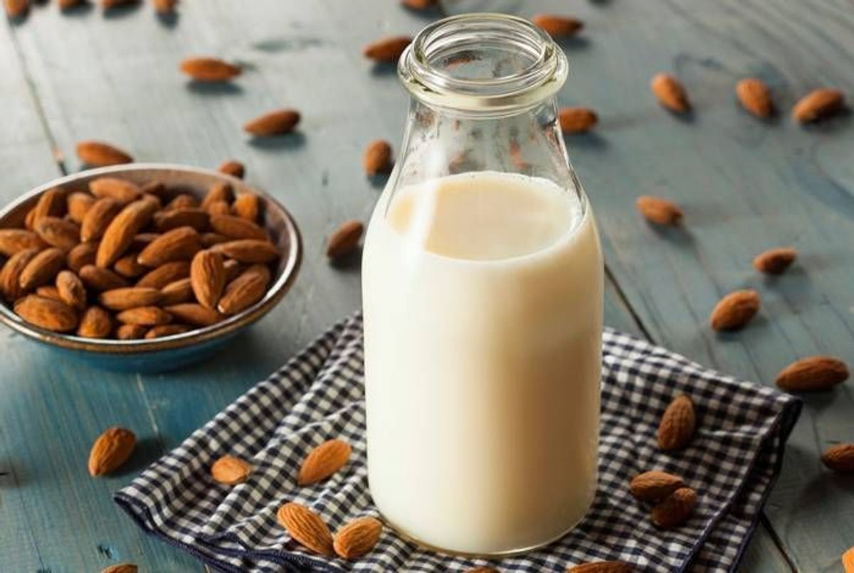 Quel est le meilleur lait végétal pour remplacer le lait de vache ?
