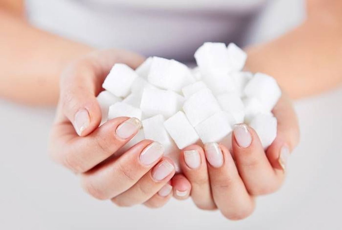Tout savoir sur les différents types de sucre : lesquels privilégier et  pourquoi - La Fourche