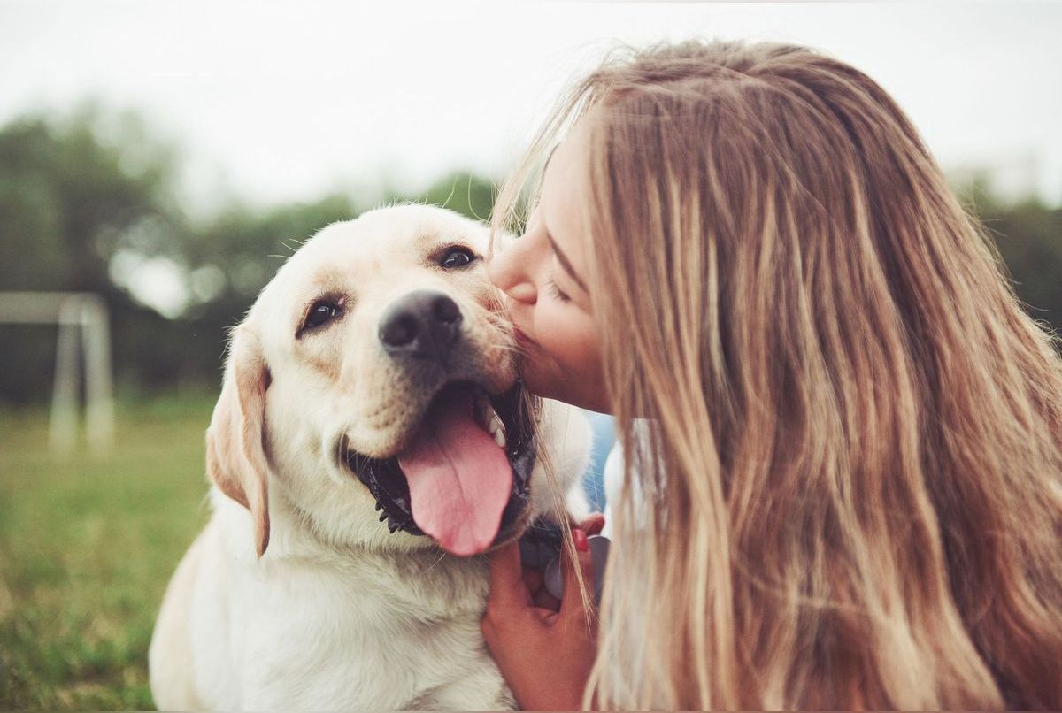 10 signes qui prouvent que votre chien est heureux