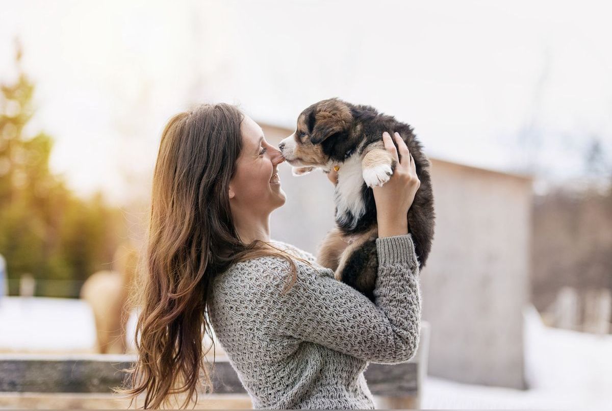7 conseils avant d’adopter un chien
