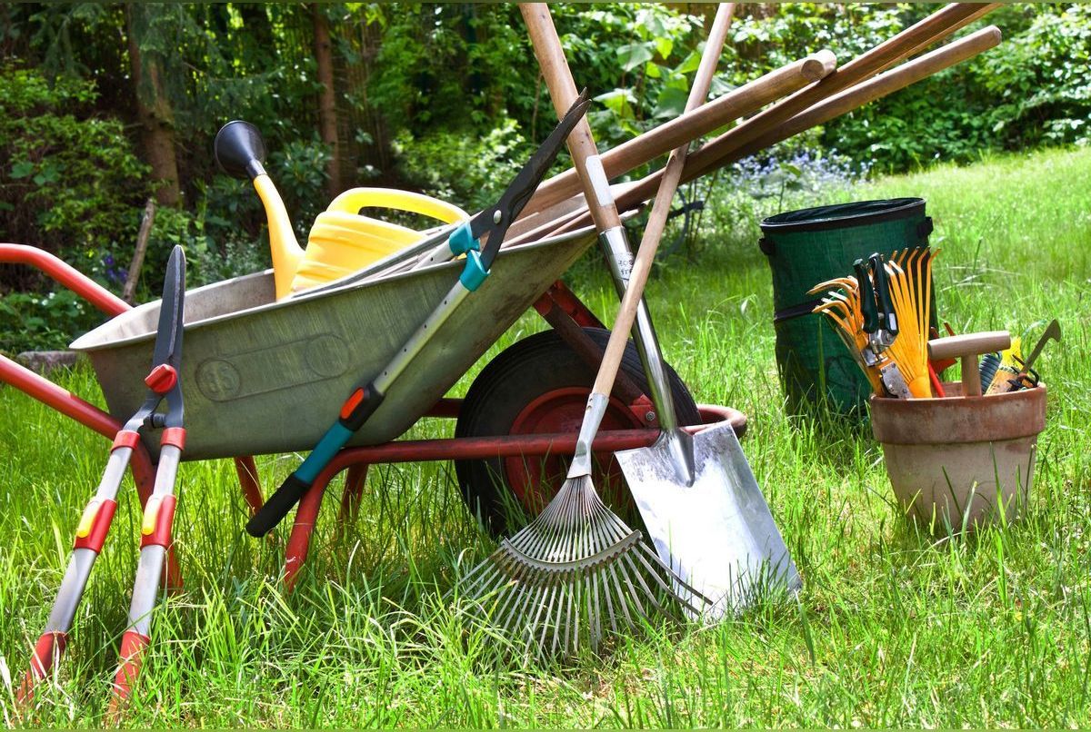 Outil de jardinage : les 10 indispensables du jardinier amateur
