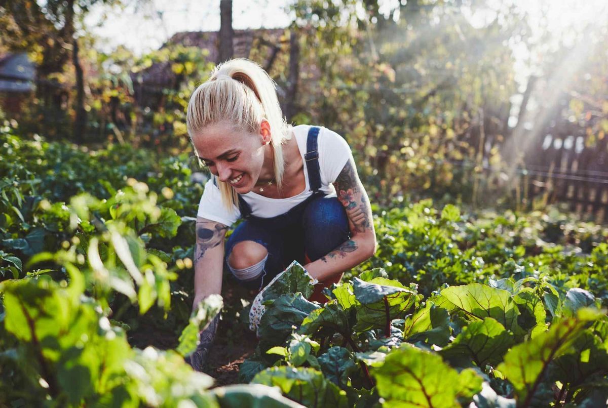 Jardinage : voici quatre dangers sous-estimés pour la santé, et comment s’en protéger