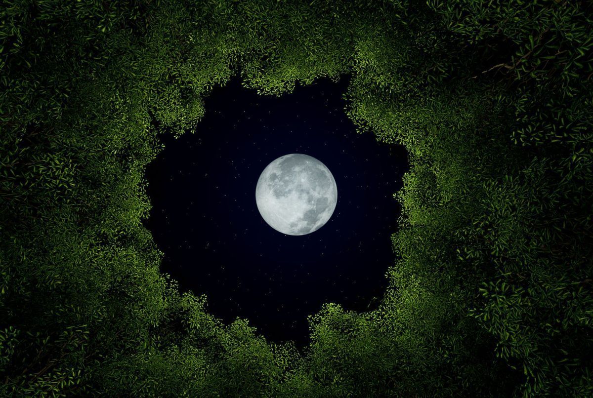 Pleine lune ce 3 juillet : êtes-vous atteint de luno-sensibilité ? - Guyane  la 1ère