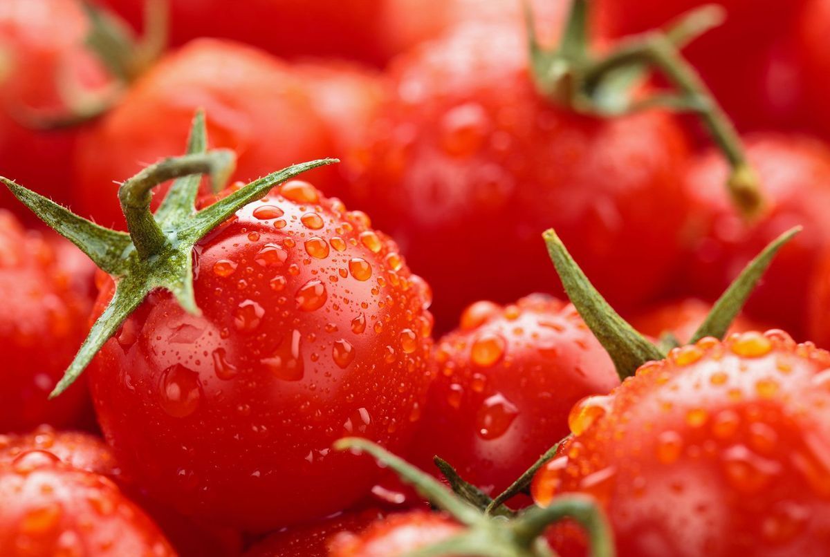 Fortes chaleurs voici le légume le plus riche en eau et ce n’est pas