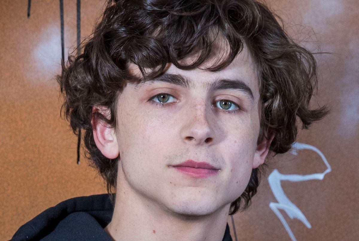  Barbie Timoth e Chalamet Voulait Appara tre Dans Le Film De Greta