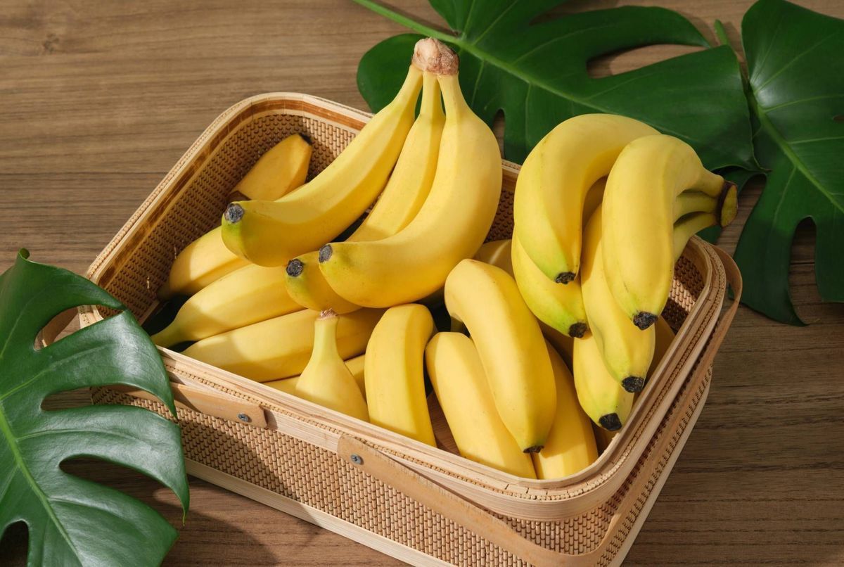 Tout savoir sur la banane