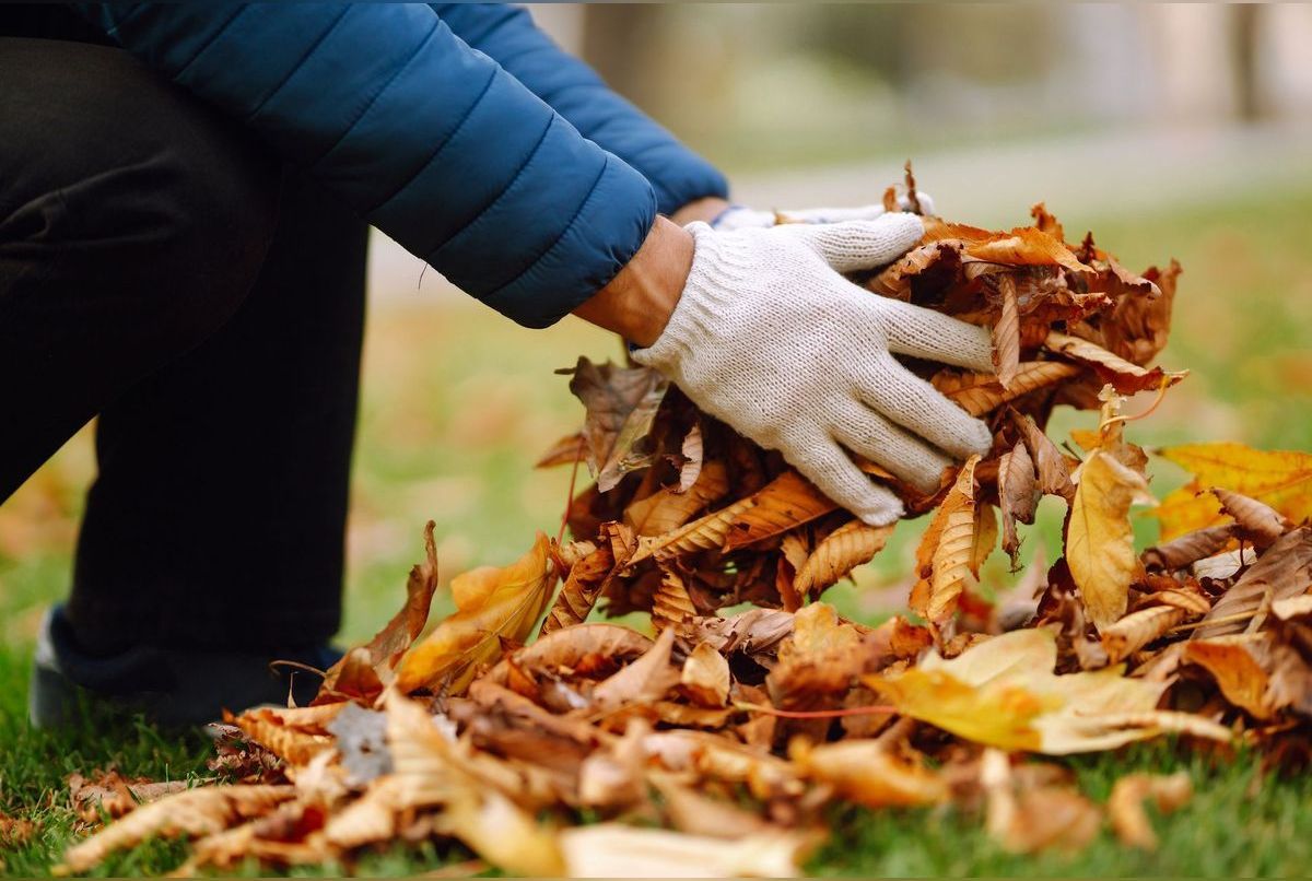 Comment recycler les feuilles mortes ?