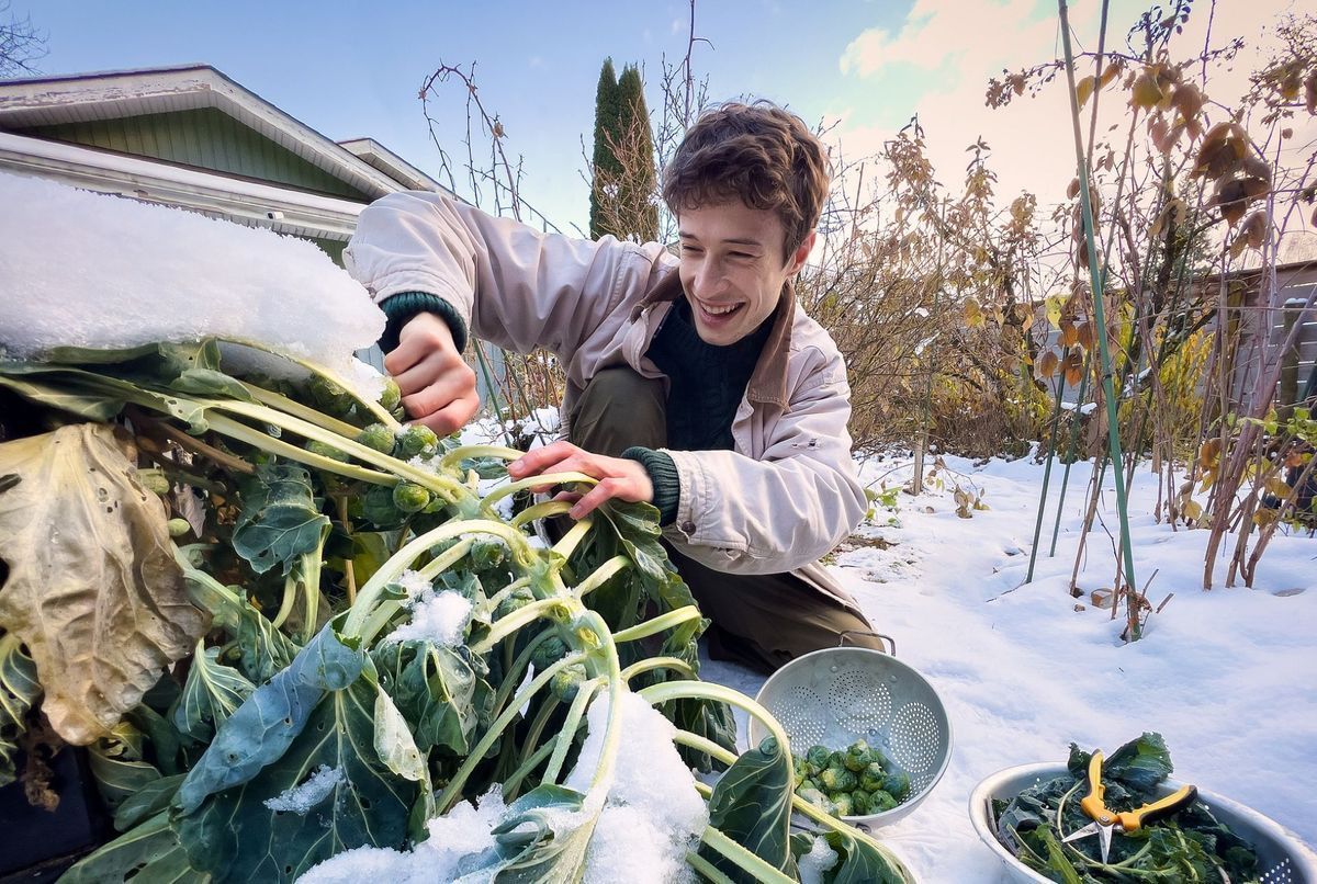 7 conseils pour entretenir son jardin potager en hiver