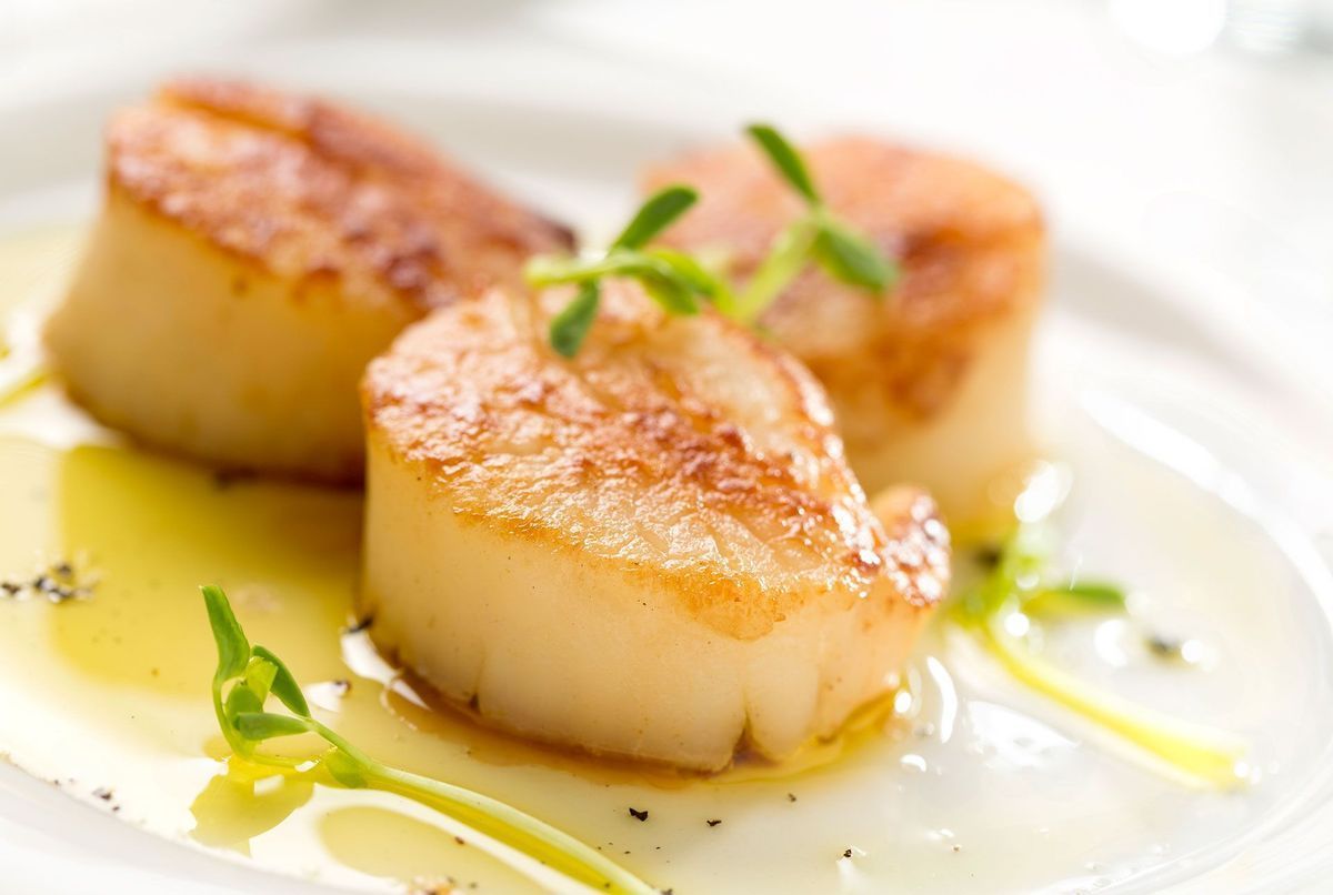 Coquilles Saint Jacques Voici Lentr E De R Veillon Parfaite Pour