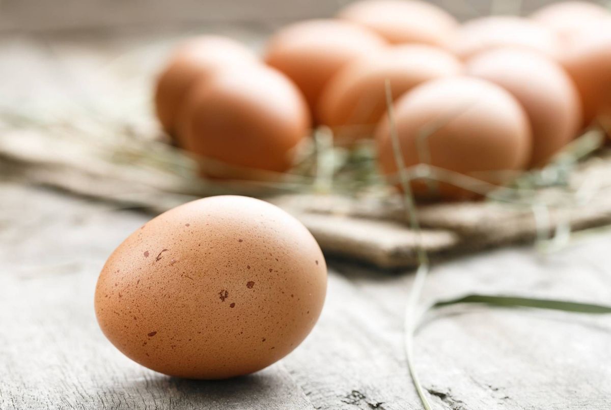 Intolérance aux œufs : comment la reconnaître et la traiter ?