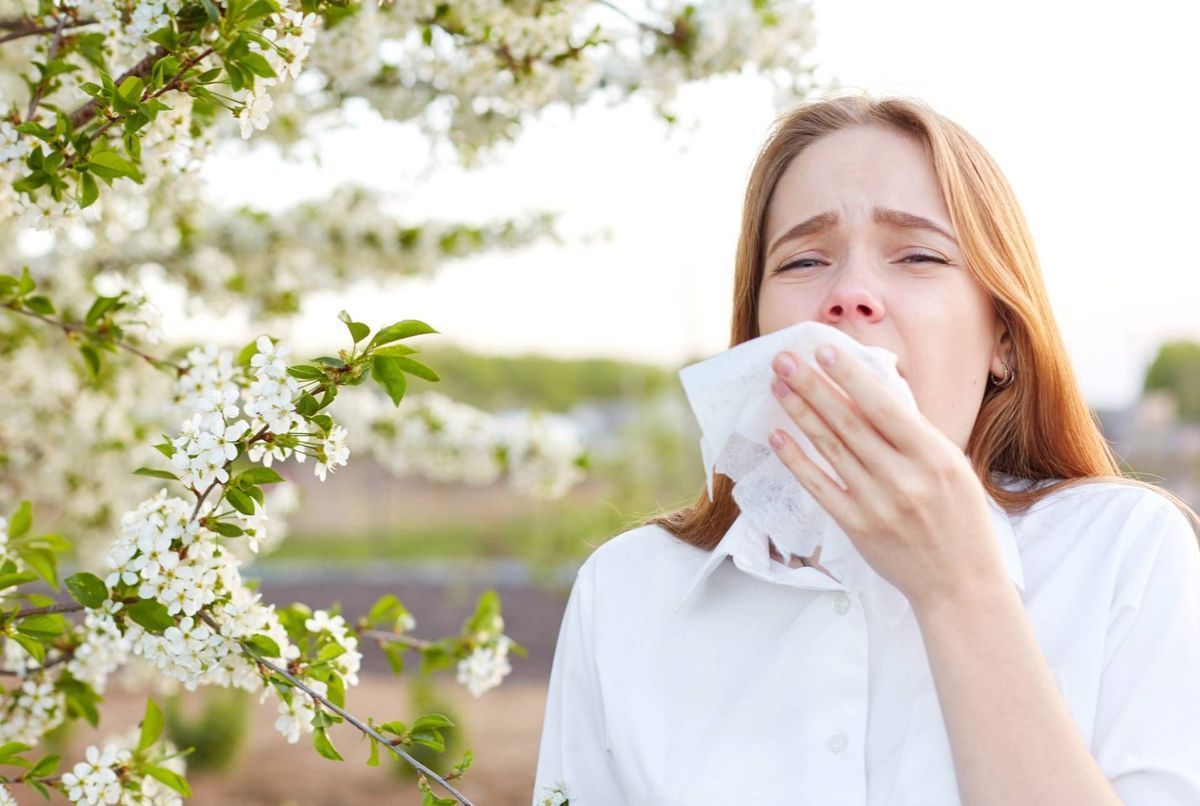 Quels traitements contre l'allergie au pollen ?