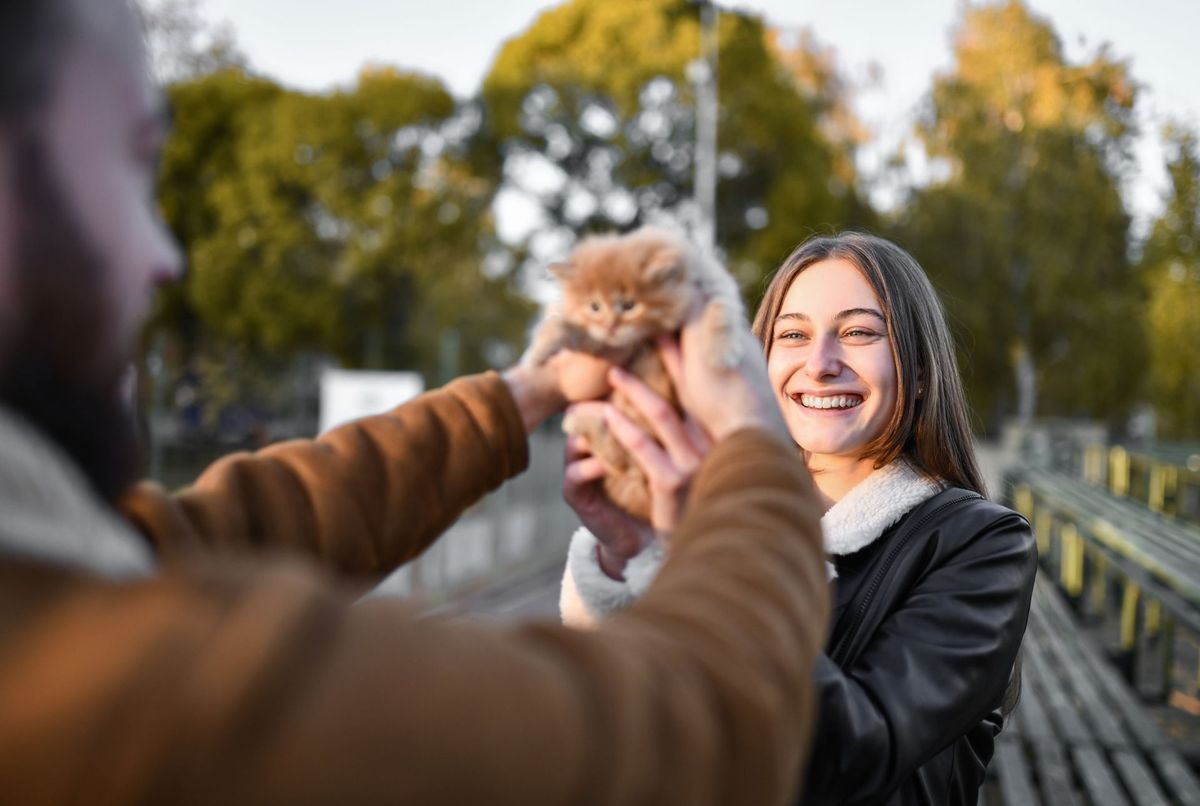Donner ou posséder un chat nonidentifié cette erreur qui peut vous coûter cher