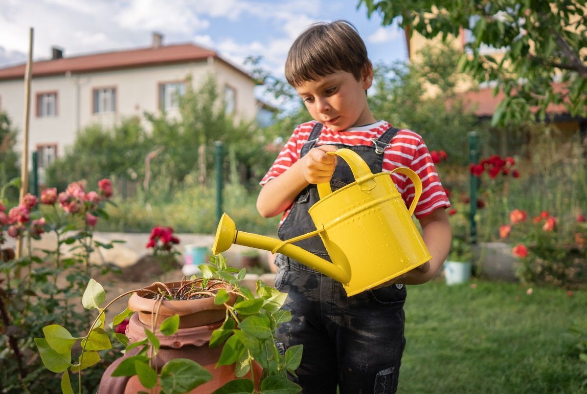 Aménagez votre extérieur : Maison et Jardinage en harmonie