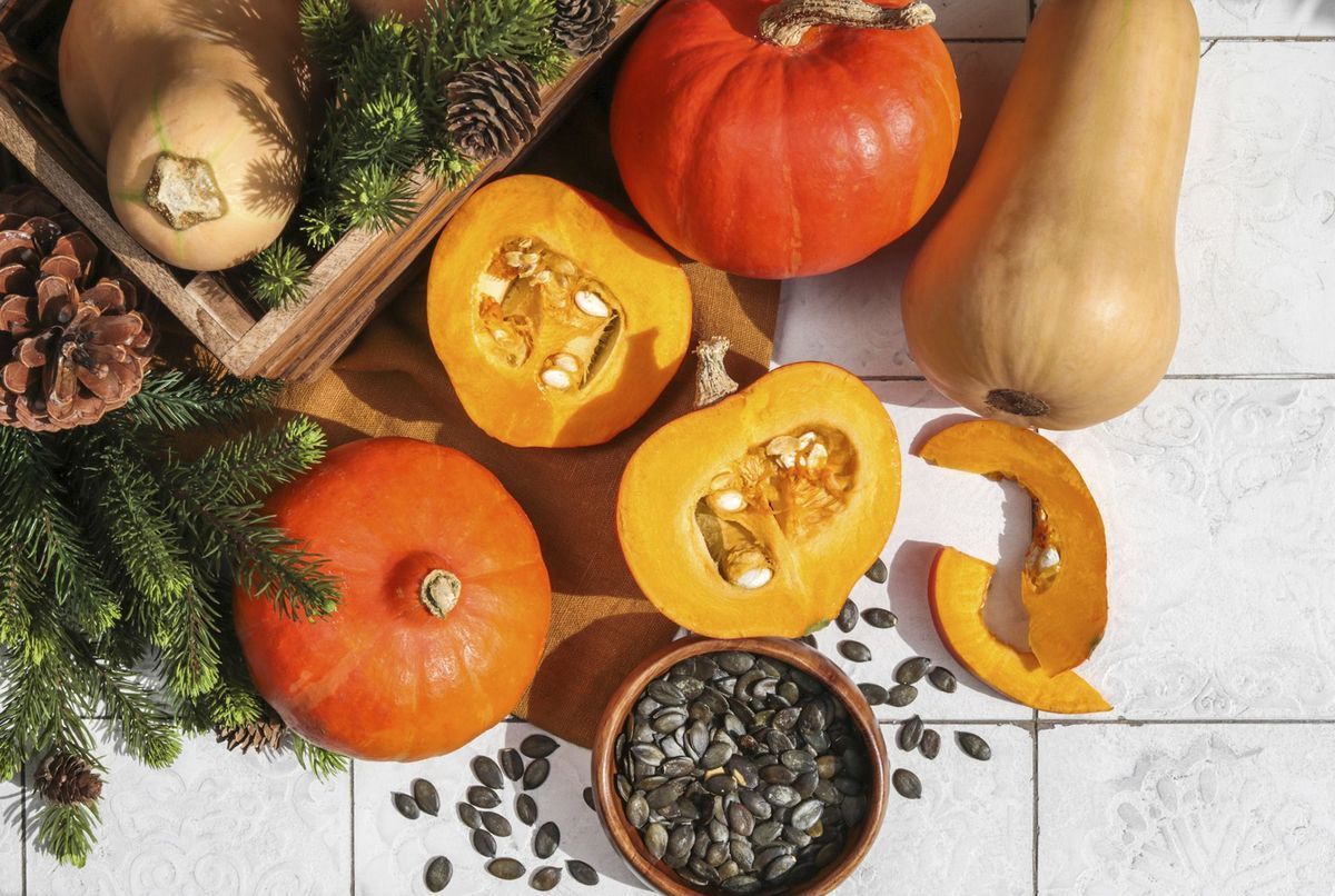 Courges Et Potirons, Une Source De Calorie Et Nutriments