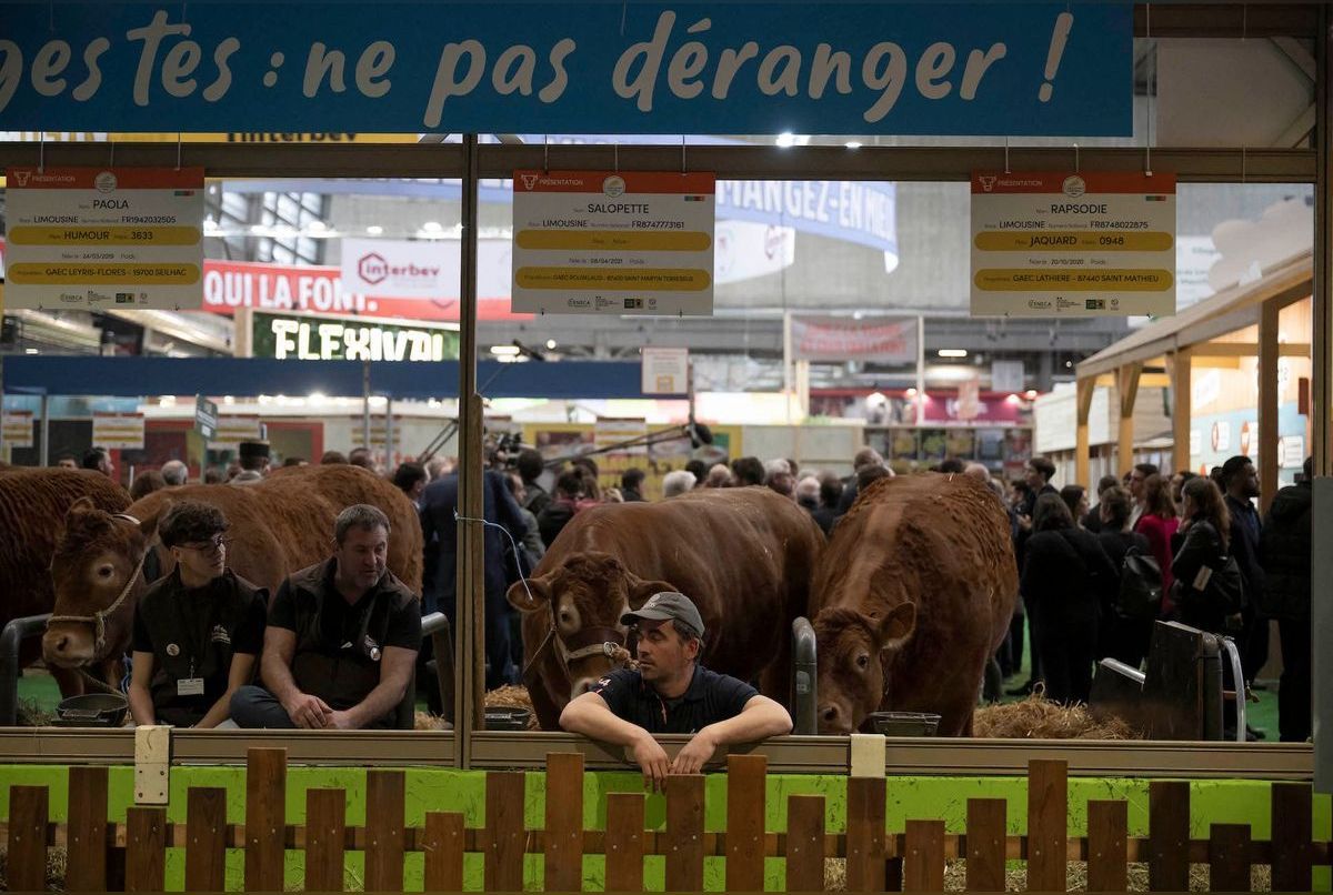 Horaires, prix, programme… Toutes les informations à savoir sur le Salon de l’Agriculture 2025