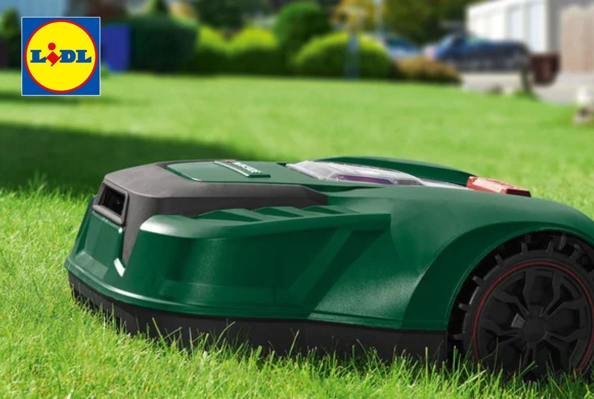 Cuchilla De Repuesto Para Cortacésped Lidl Florabest/Parkside - Modelo 011 - Plástico - Para Cambio