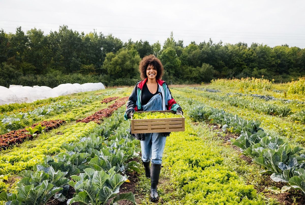 Miel, banane plantain, sarrasin… ces 6 aliments du terroir aux vertus nutritionnelles méconnues