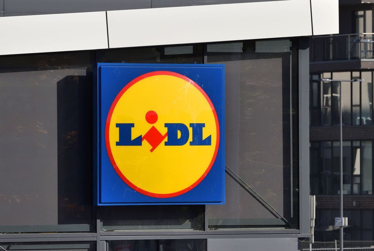 Lidl : « On voulait un effet ‘waouh’ », l’enseigne ouvre un magasin inédit dans les Yvelines