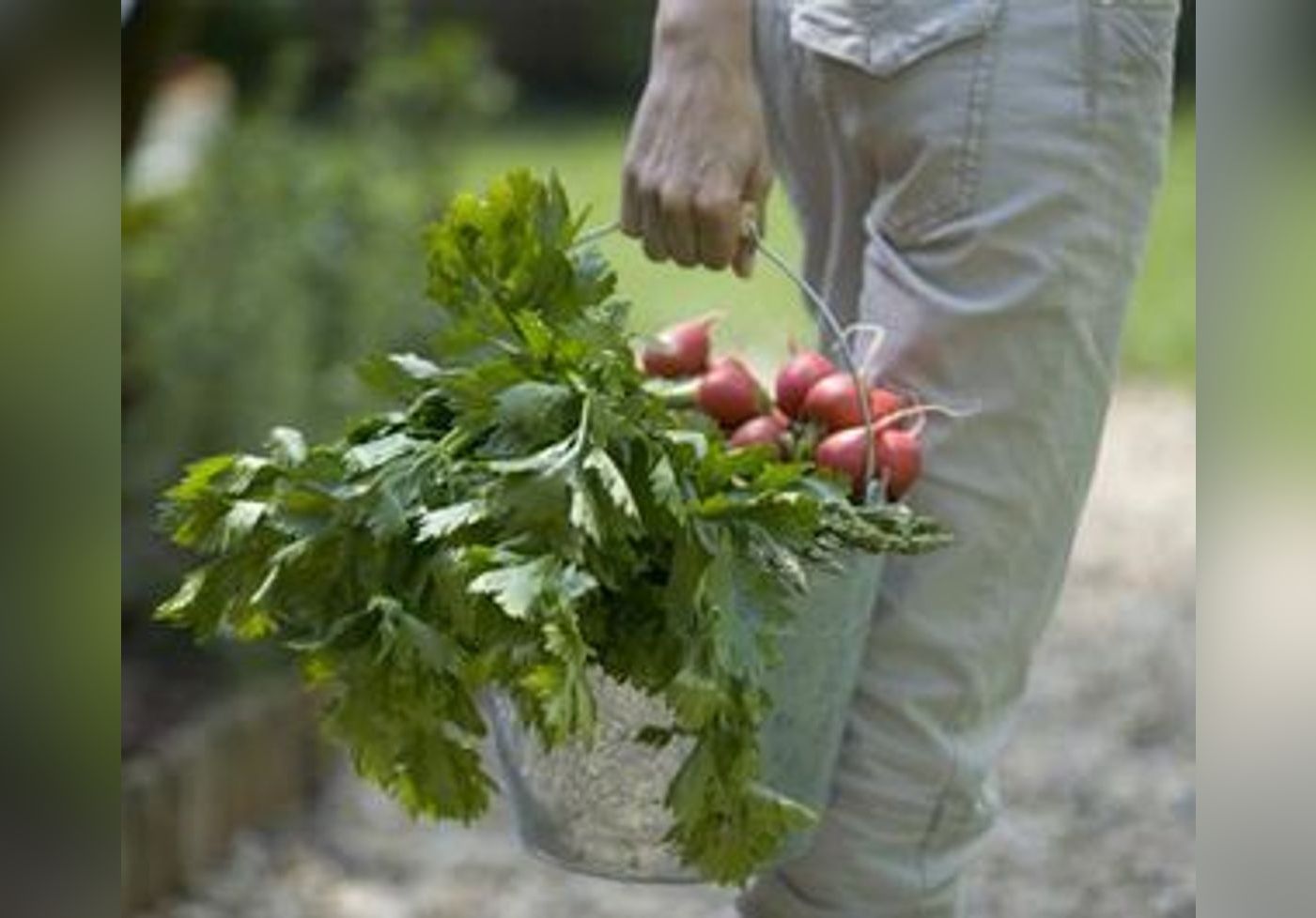 Un Jardin Bio Mode D’emploi