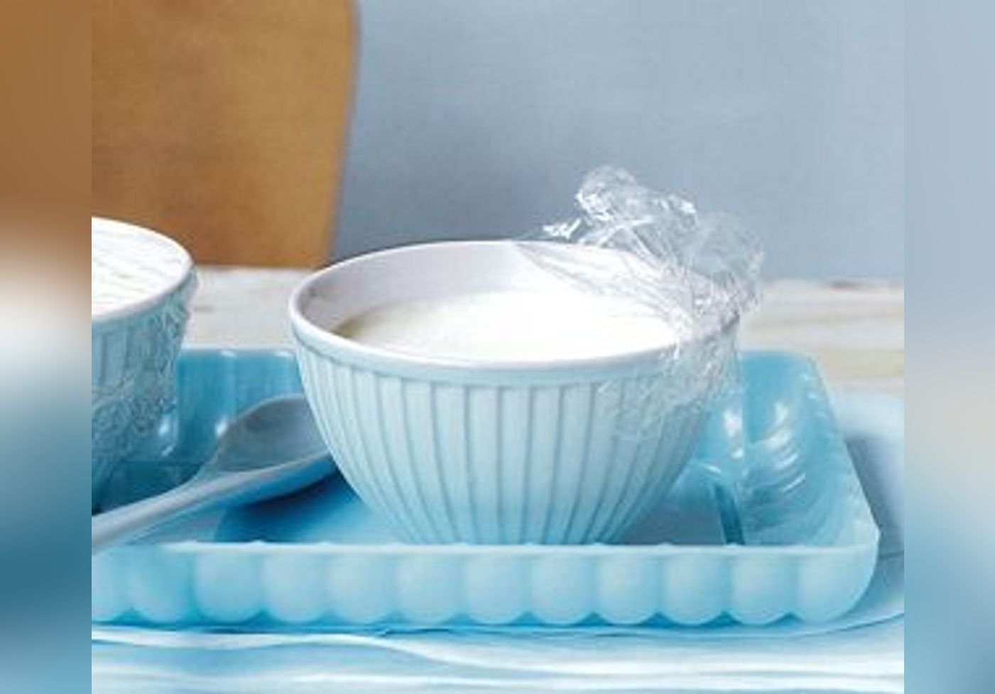 Recette Yaourt à La Grecque Yaourtière