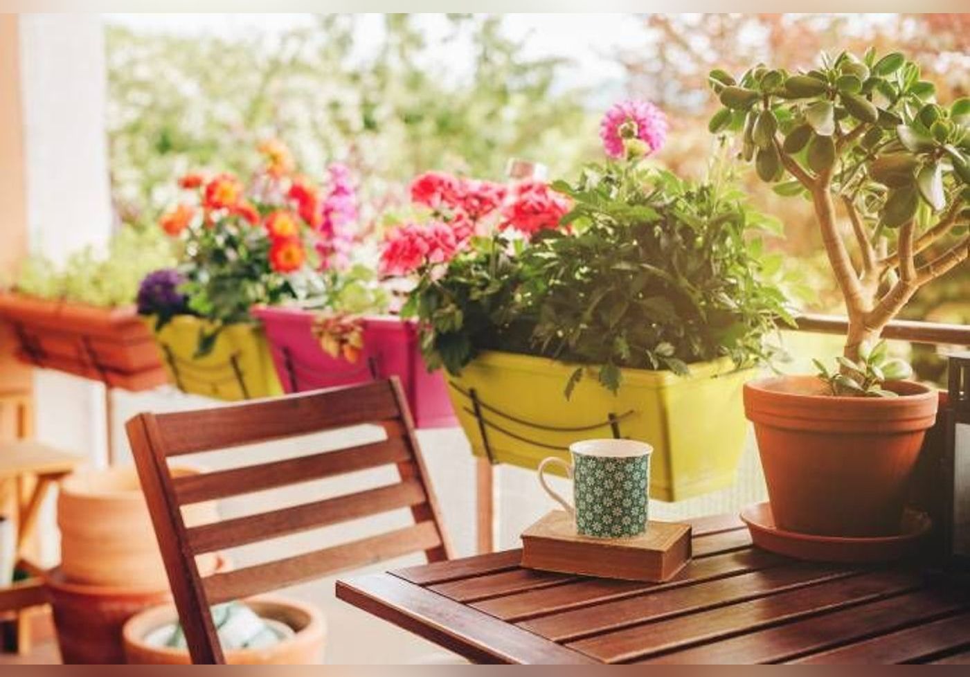 Descubre cómo montar un rincón florido en tu soleado balcón o terraza