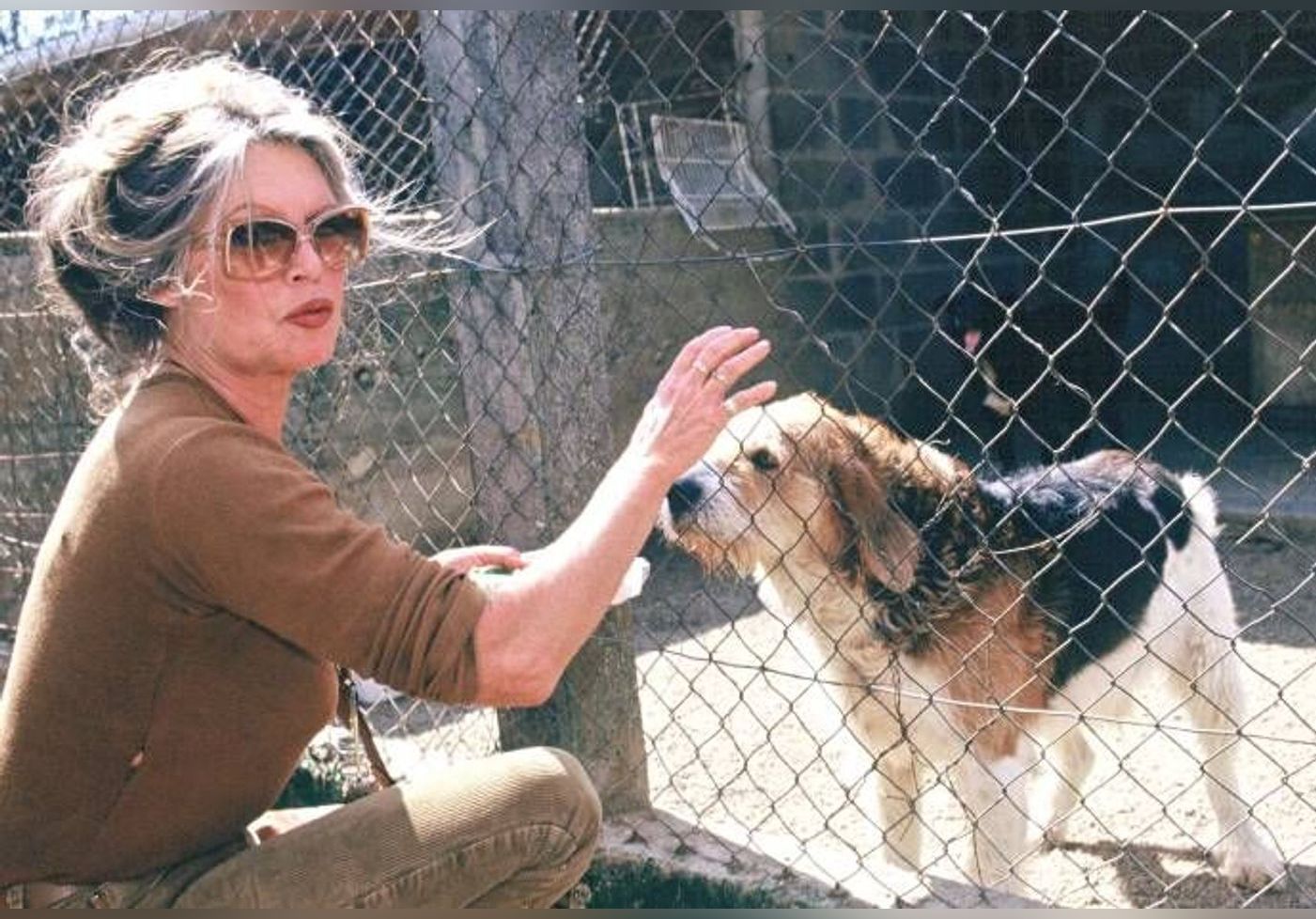 Brigitte Bardot publie une lettre ouverte virulente aux organisateurs de corridas