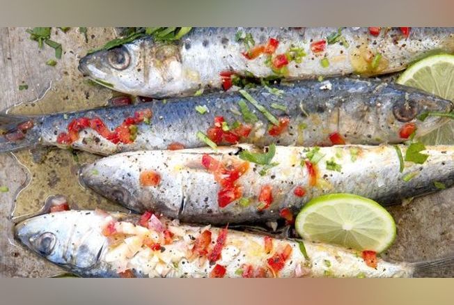 Pêche durable : les poissons que l'on peut encore manger