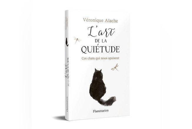 5 Livres Pour Etre Heureux Comme Un Chat