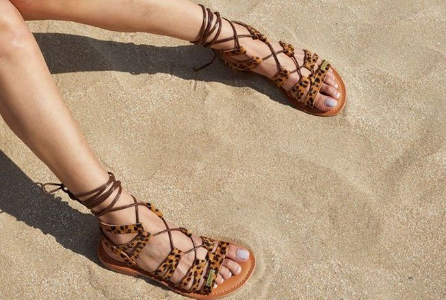 spartiates phocéennes