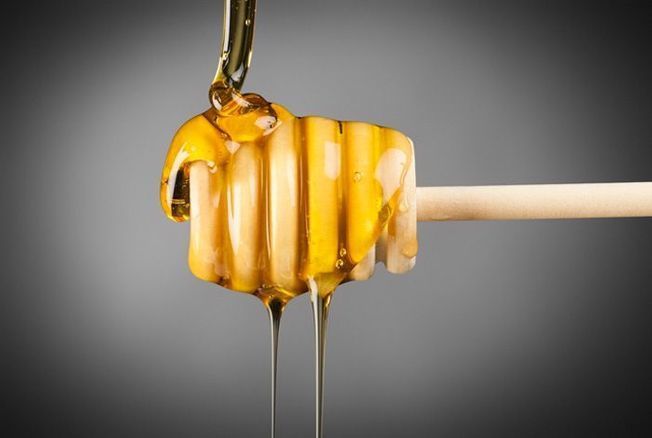 Le miel, un cicatrisant naturel à l'hôpital