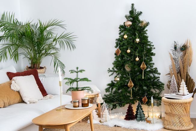 DIY de Noël : voici comment fabriquer un sapin trompe-l'œil idéal pour les petits appartements