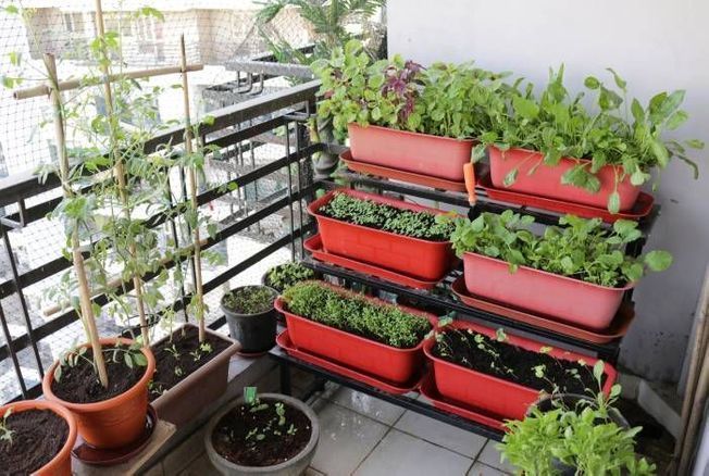 Comment aménager son jardin pas cher ? Voici 5 astuces économiques pour cet  été
