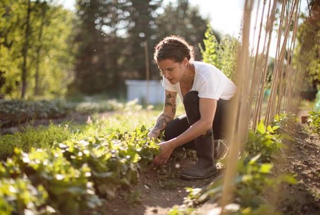 moral Infantil Dinámica Équipements, outils, gestes... Voici 5 conseils pour jardiner en toute  sécurité