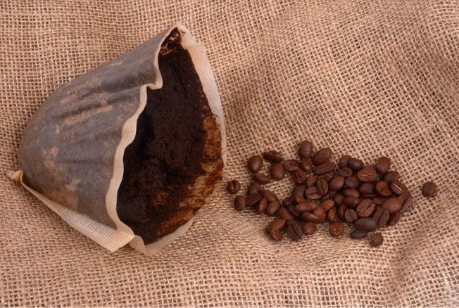 Réduire l'impact environnemental de son café quotidien en réutilisant le marc de café