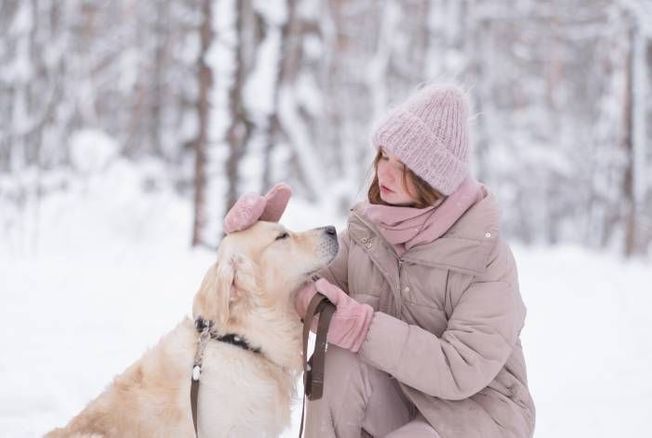 Jusqu'à quelle température les chiens peuvent-ils résister au froid et comment les protéger ?