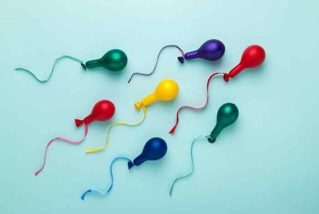 Un gel vaginal bloquant les spermatozoïdes, nouvelle méthode de contraception prometteuse