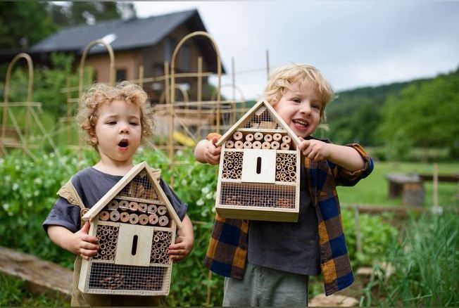 Comment fabriquer un « hôtel à insectes » dans son jardin et
