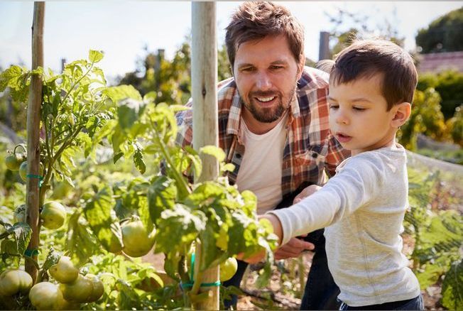 Fête des pères : 7 idées cadeau de dernière minute pour un amateur de  jardinage